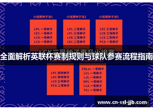 全面解析英联杯赛制规则与球队参赛流程指南