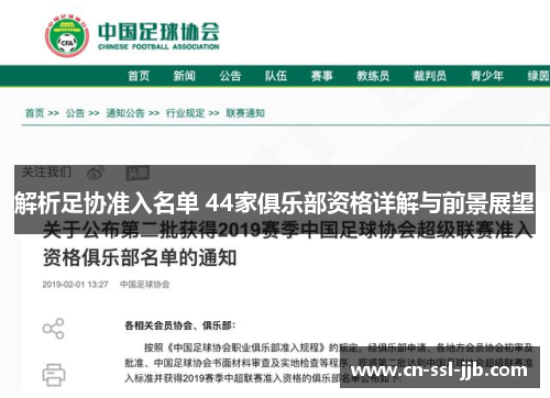 解析足协准入名单 44家俱乐部资格详解与前景展望 解析足协准入名单 44家俱乐部资格详解与前景展望