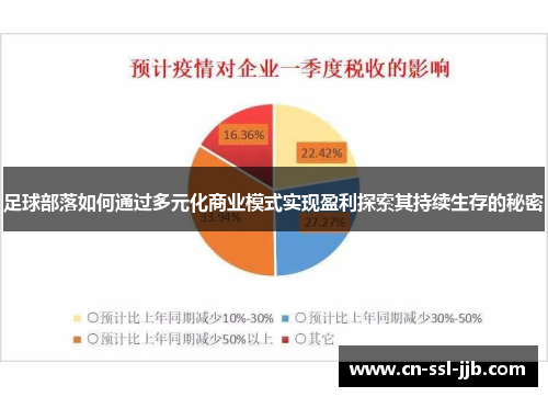 足球部落如何通过多元化商业模式实现盈利探索其持续生存的秘密 足球部落如何通过多元化商业模式实现盈利探索其持续生存的秘密