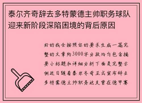 泰尔齐奇辞去多特蒙德主帅职务球队迎来新阶段深陷困境的背后原因